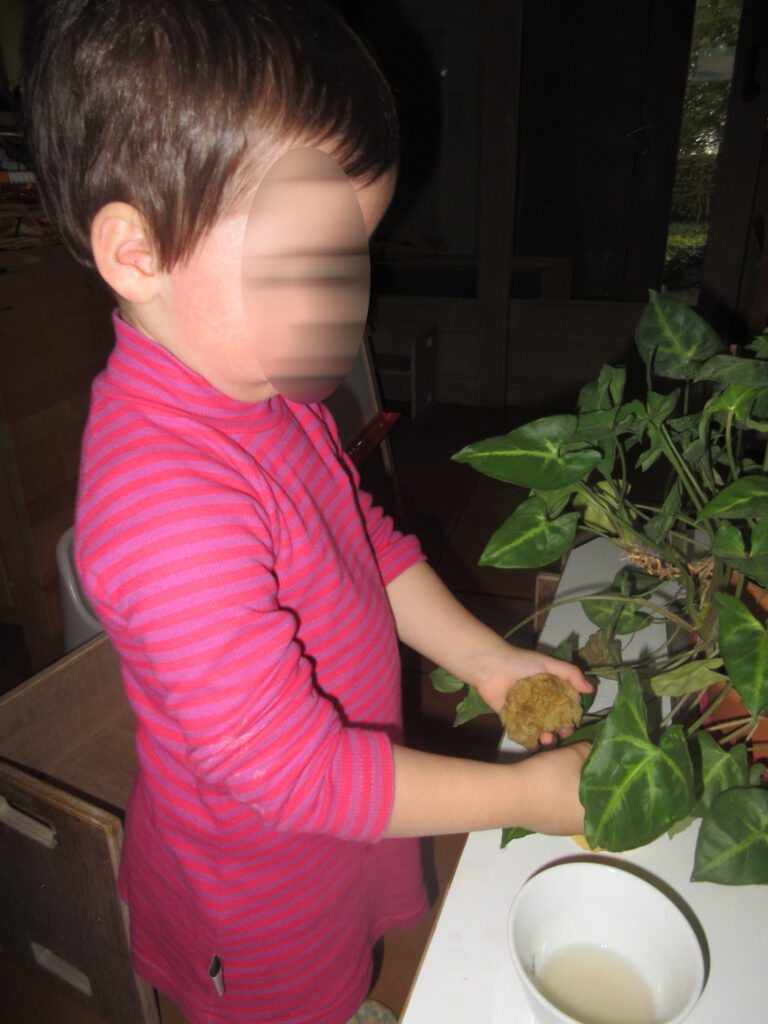 Nettoyez les feuilles des plantes