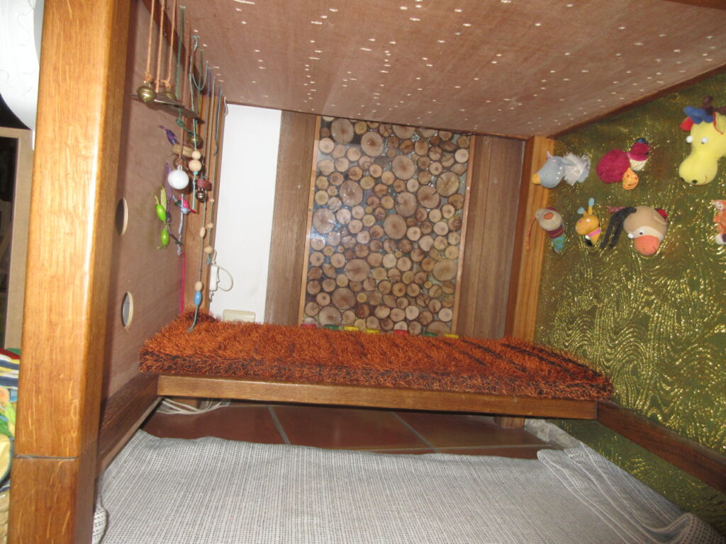 Cabane