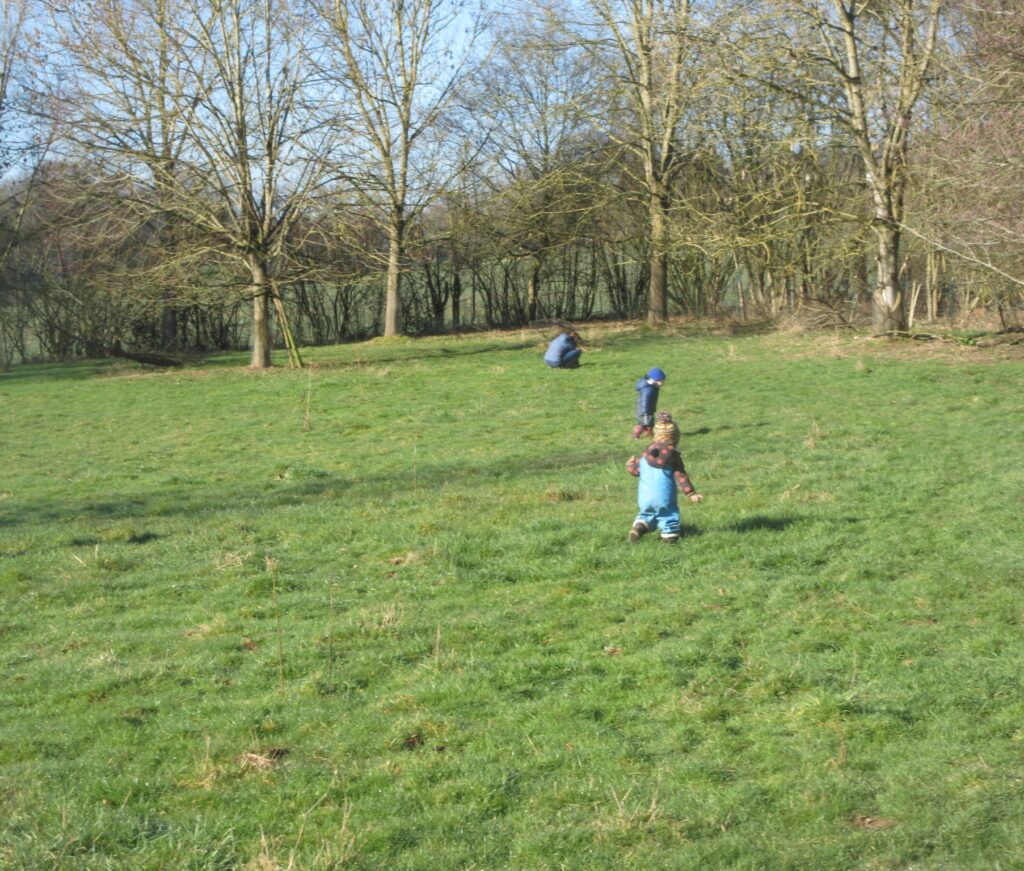 En balade dans le pré