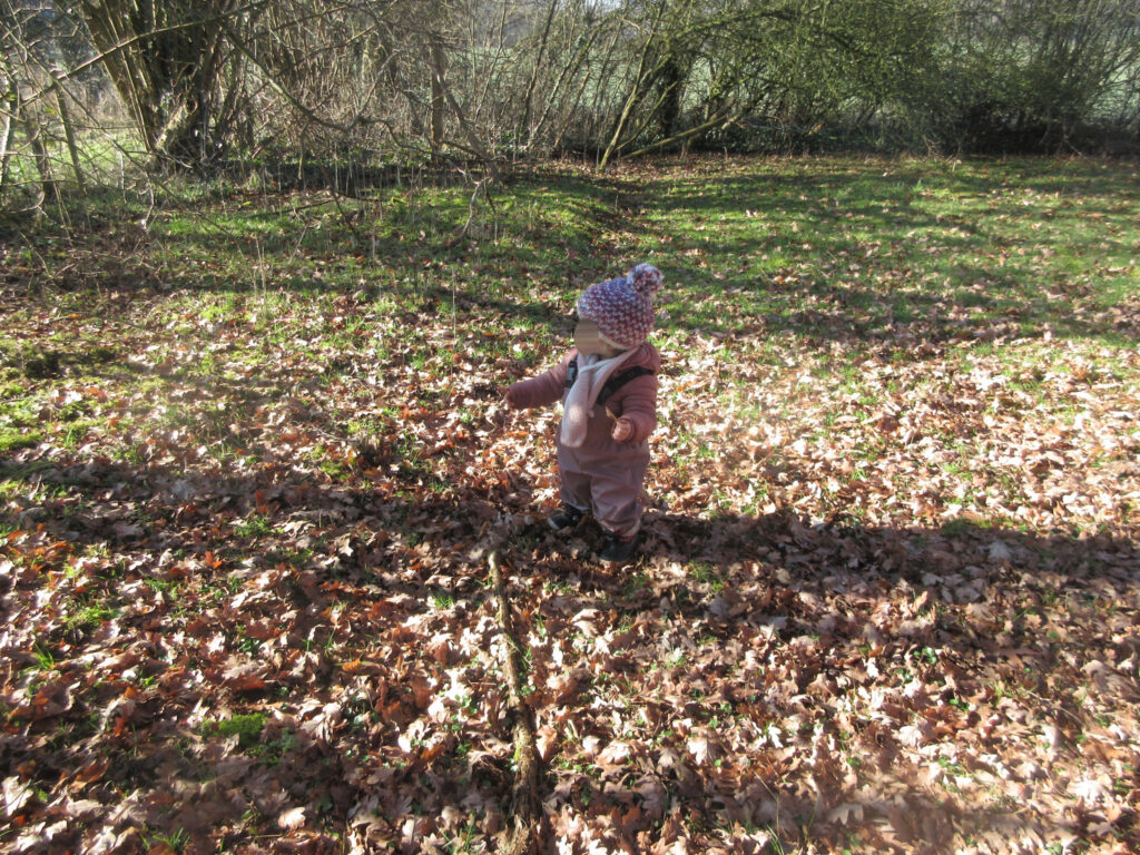 Balade d'automne dans le pré