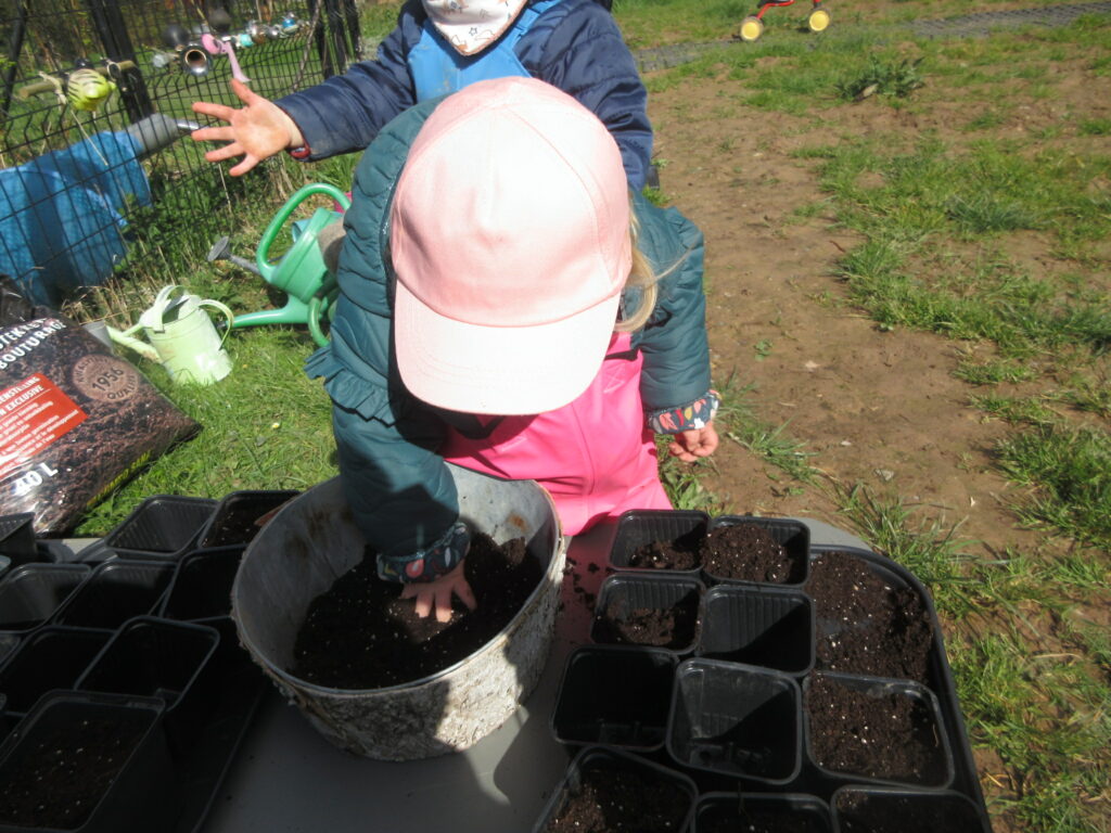 Préparation des plantations