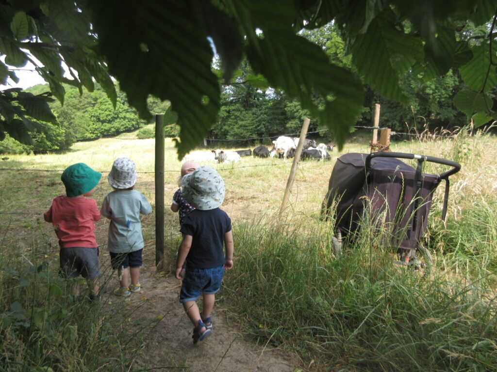 En balade au pré des vaches